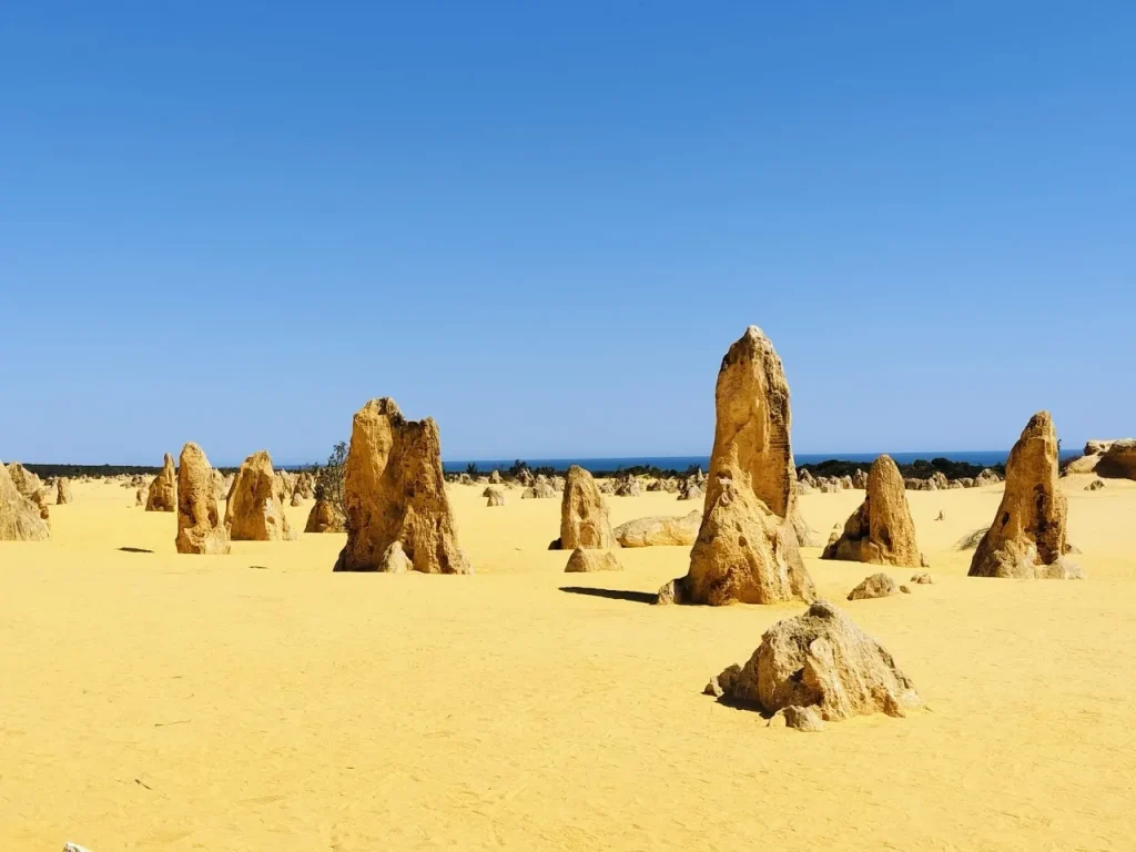 ピナクルズ砂漠の奇岩群（西オーストラリア）