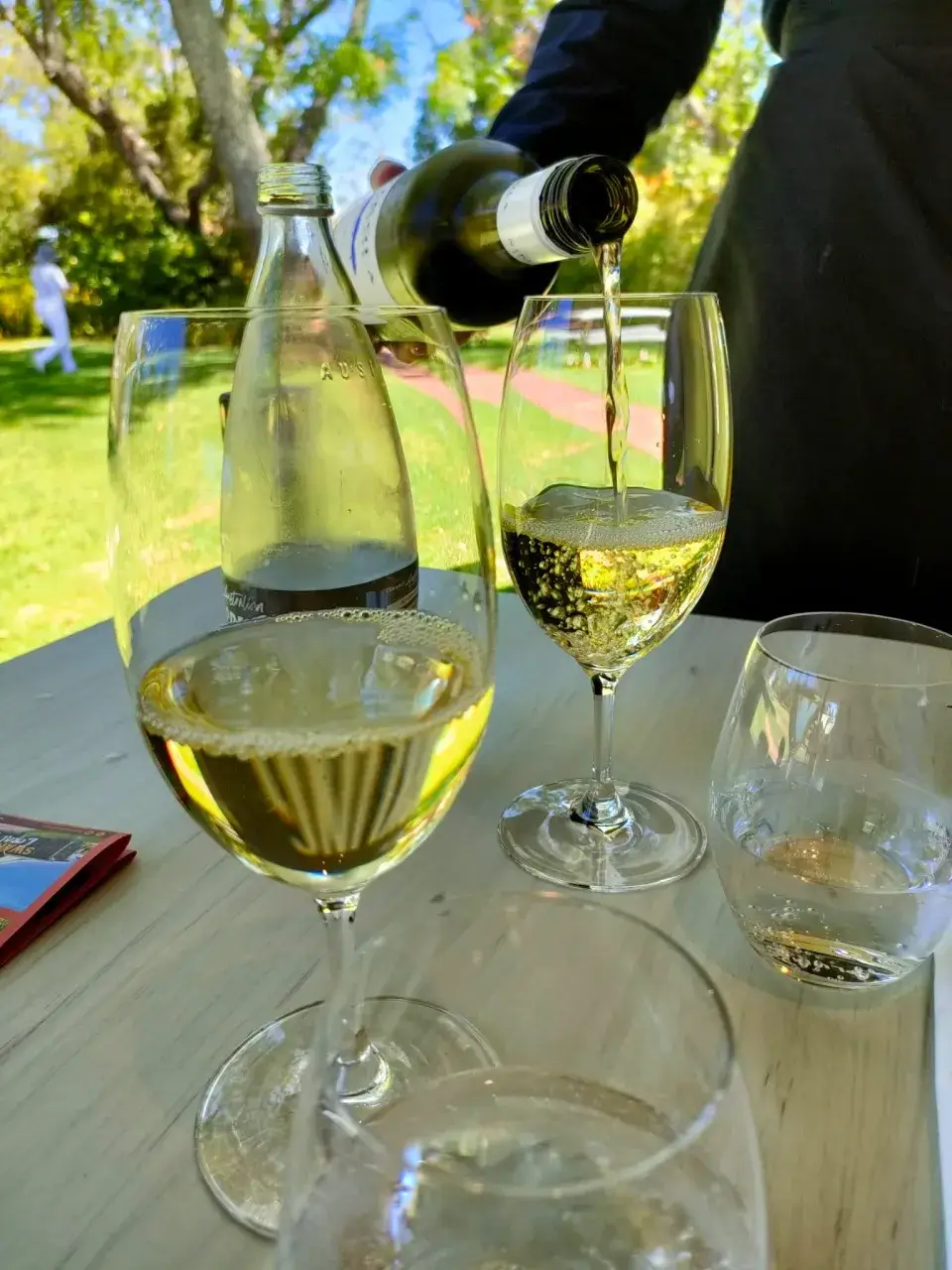 カバシャムワイルドライフパークワイン