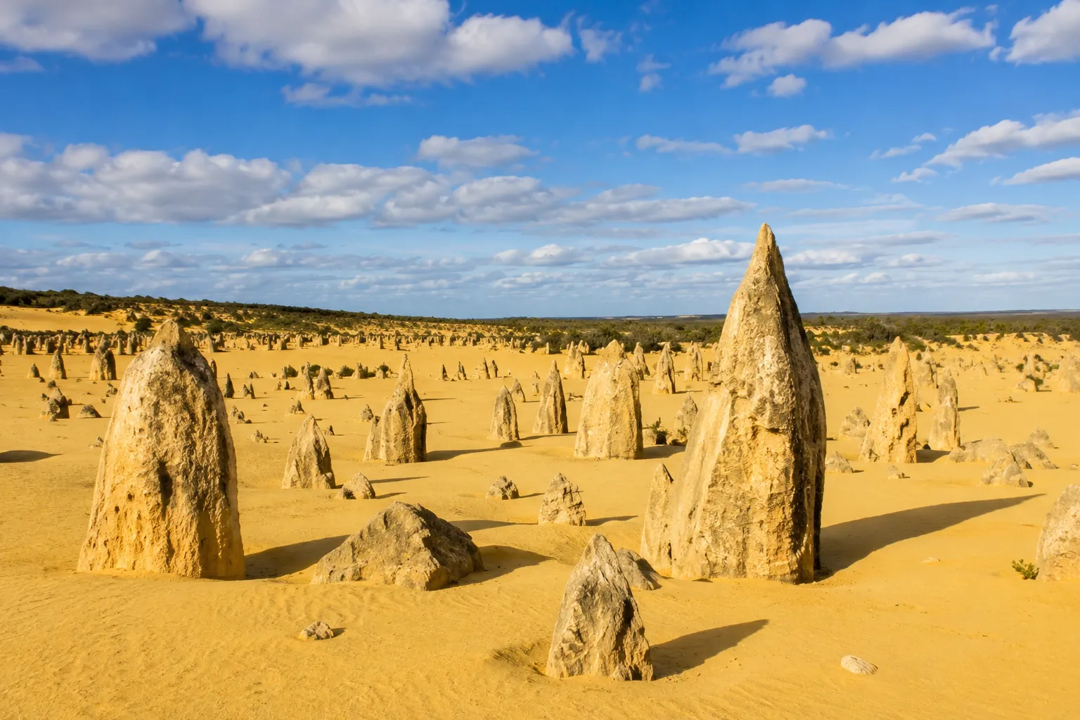 ピナクルズの砂漠に広がる奇岩群の風景
